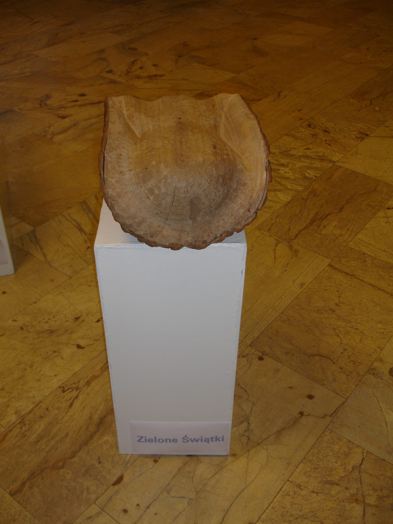 Image 14